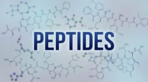 Peptides Peptides